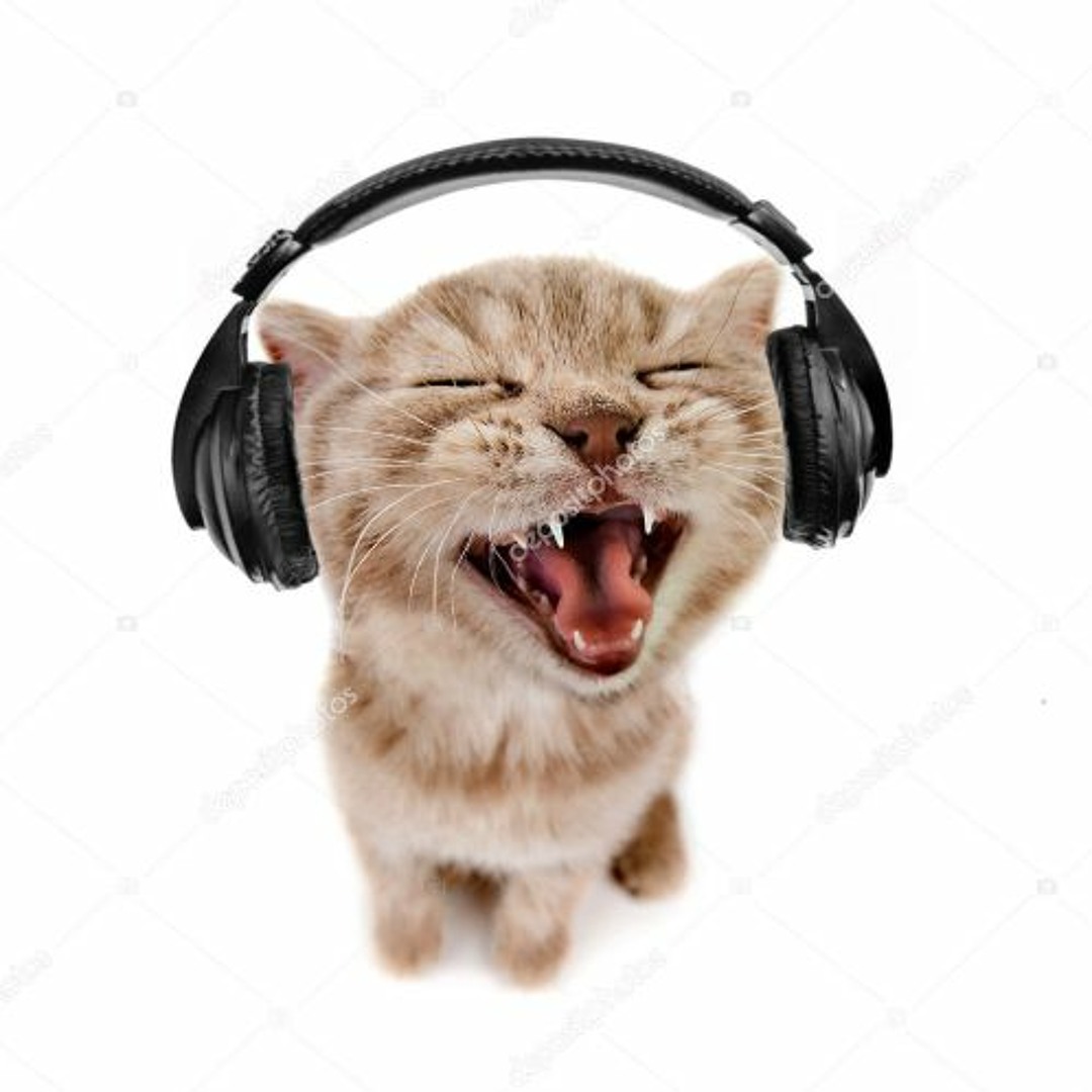 headphones cat support tower